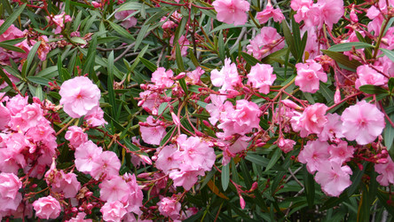 Similar image 232652