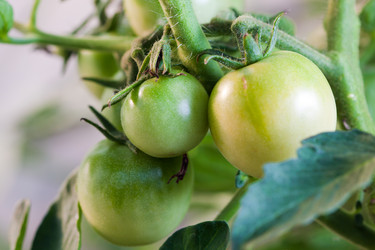 Similar image 232667