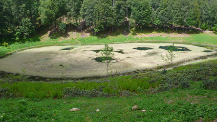 Similar image 232677