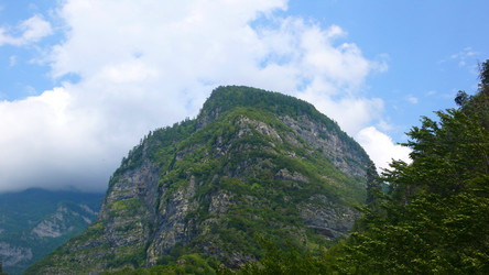 Similar image 232681