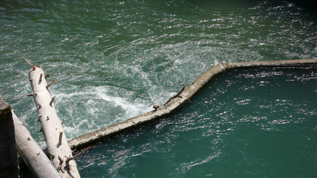 Similar image 232684