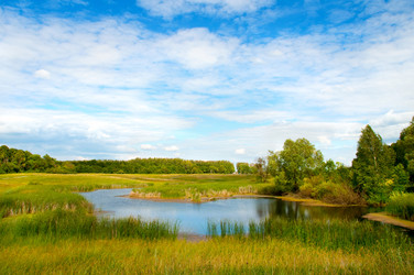 Similar image 232691