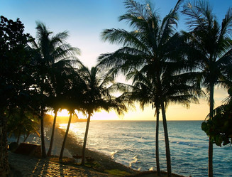 Similar image 232699