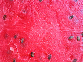 Similar image 232716