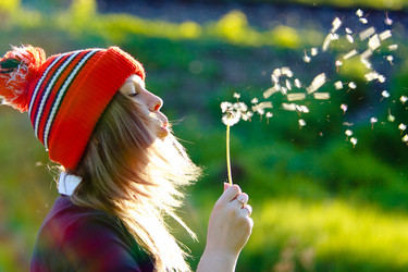 Similar image 232814