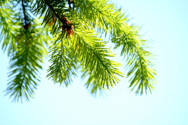 Similar image 232879