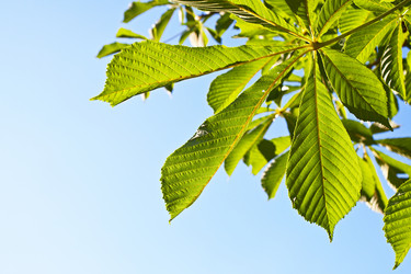 Similar image 232889