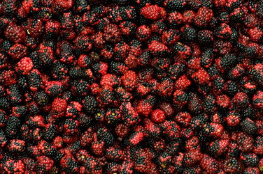 Similar image 232892