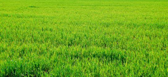 Similar image 232932