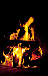 Similar image 232933