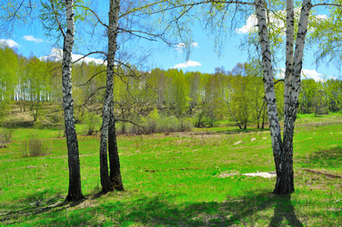 Similar image 232952