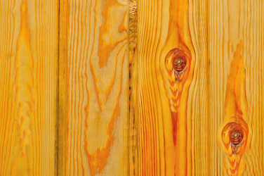 Similar image 232956