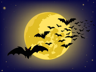 Similar image 232988