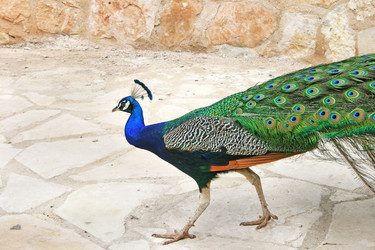 Similar image 233002