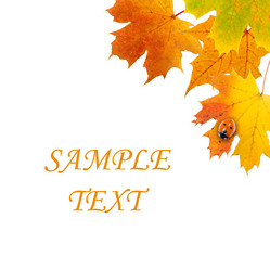 Similar image 233007