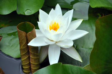 Similar image 233041