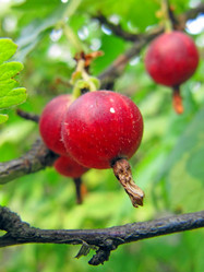 Similar image 233059