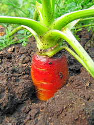 Similar image 233070