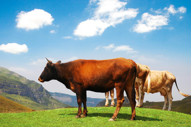 Similar image 233087