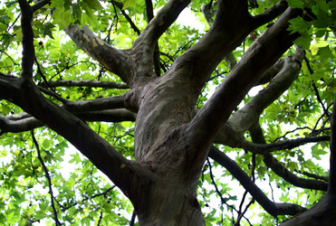 Similar image 233099