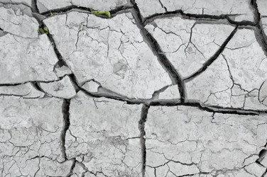 Similar image 233135