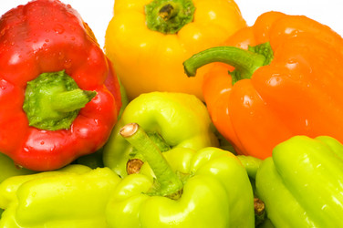 Similar image 233194