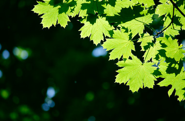 Similar image 233217