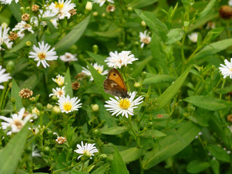 Similar image 233218