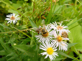 Similar image 233223