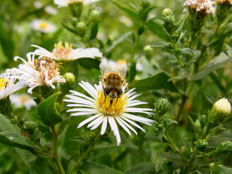 Similar image 233225