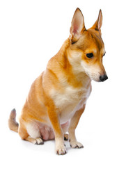 Similar image 233226