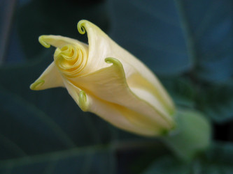 Similar image 233230