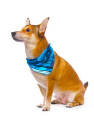 Similar image 233231