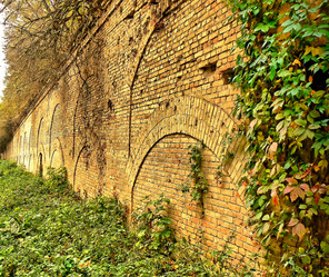 Similar image 233236