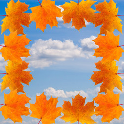 Similar image 233244