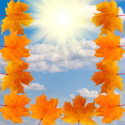 Similar image 233246