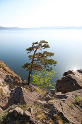 Similar image 233251