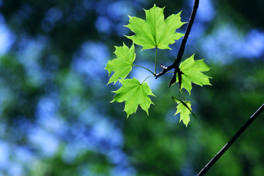 Similar image 233256