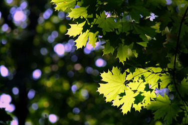 Similar image 233258