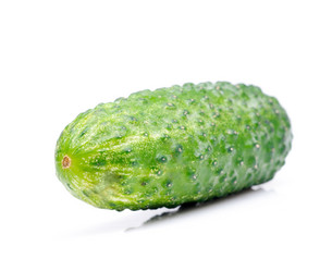 Similar image 233259