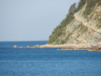 Similar image 233307