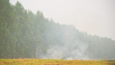 Similar image 233367