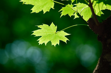 Similar image 233394