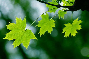 Similar image 233395