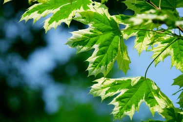 Similar image 233397