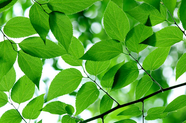 Similar image 233402