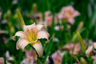 Similar image 233405