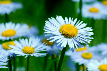 Similar image 233476