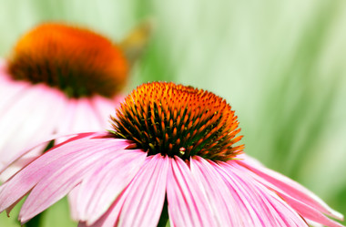 Similar image 233477