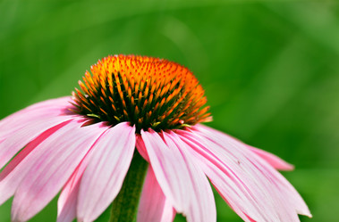 Similar image 233478